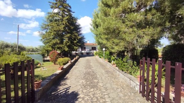 casa indipendente in vendita a Locorotondo