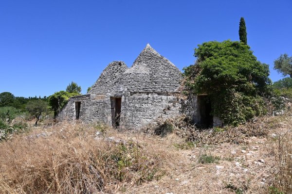 immagine annuncio 0 di 1
