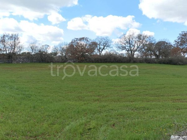 casale in vendita a Locorotondo