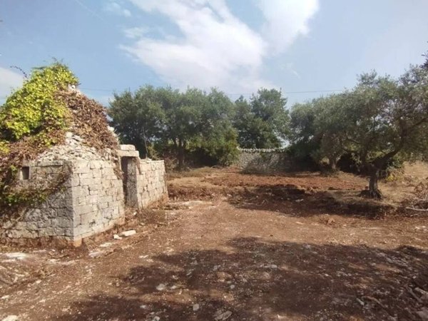 casa indipendente in vendita a Locorotondo