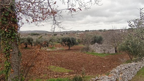 casa indipendente in vendita a Locorotondo