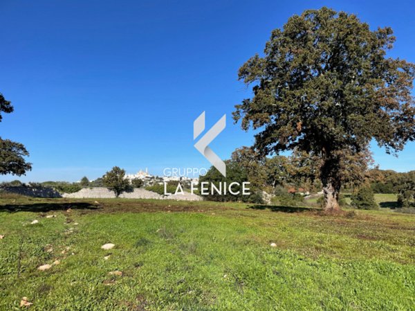 terreno agricolo in vendita a Locorotondo