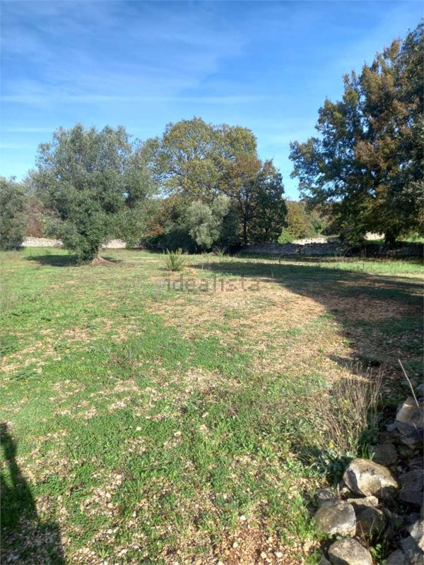 appartamento in vendita a Locorotondo