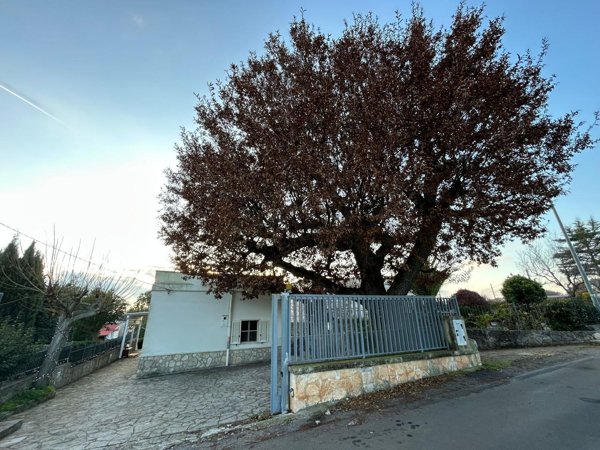 appartamento in vendita a Locorotondo