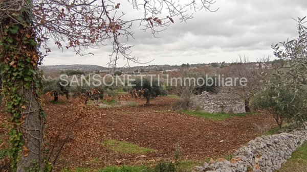 casa indipendente in vendita a Locorotondo