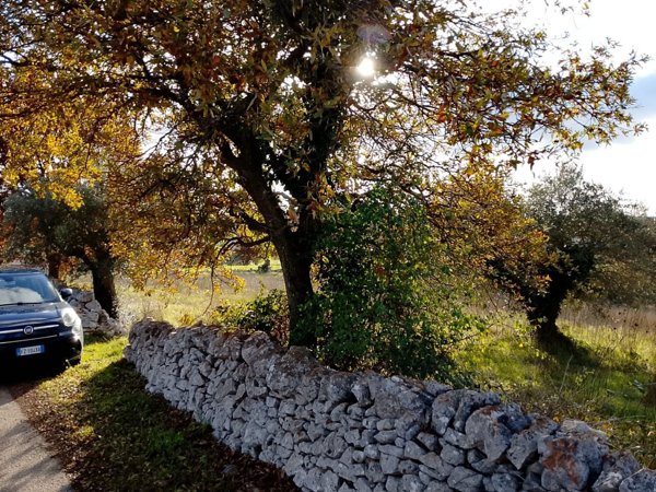 terreno agricolo in vendita a Locorotondo