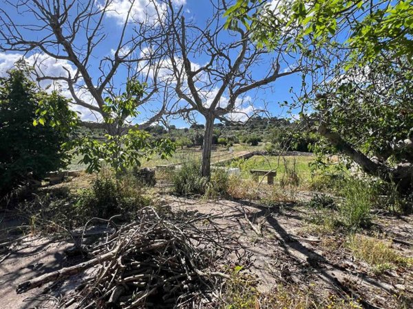 casa semindipendente in vendita a Locorotondo