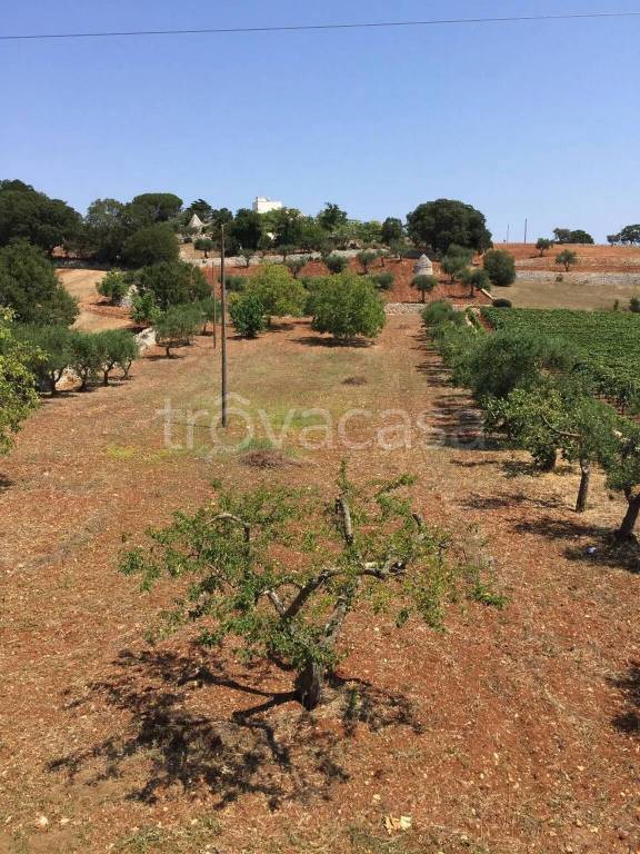 casa indipendente in vendita a Locorotondo