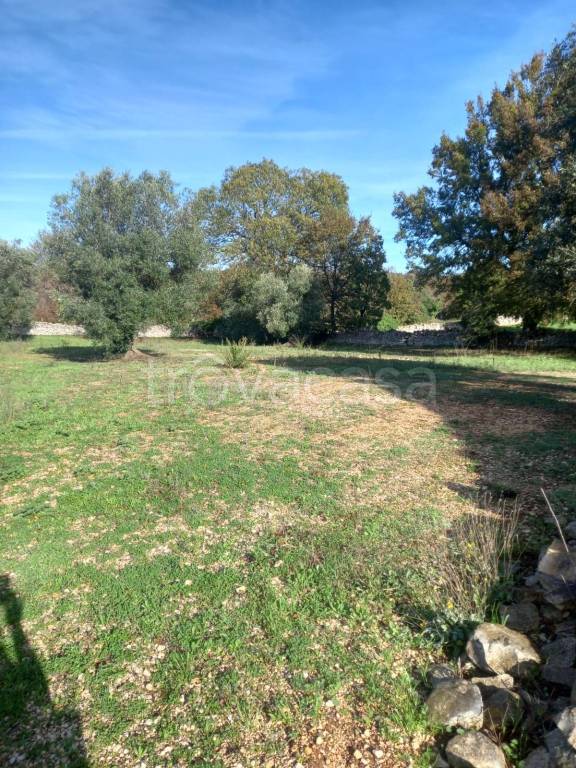 appartamento in vendita a Locorotondo