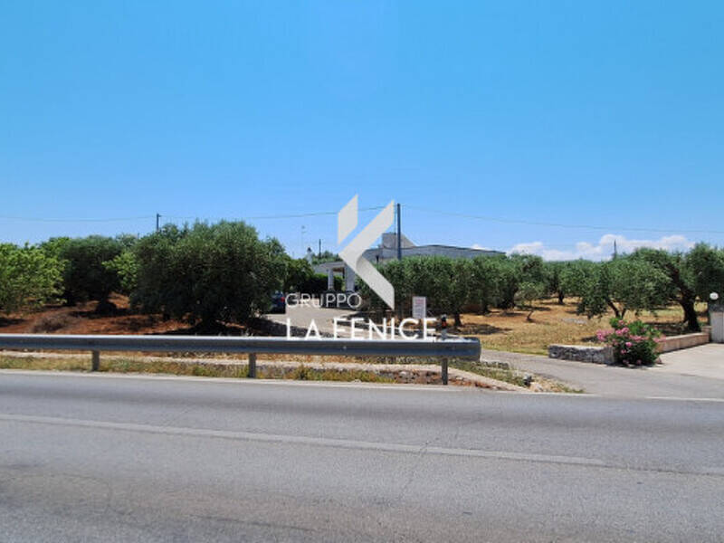 terreno agricolo in vendita a Locorotondo