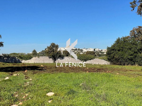 terreno agricolo in vendita a Locorotondo