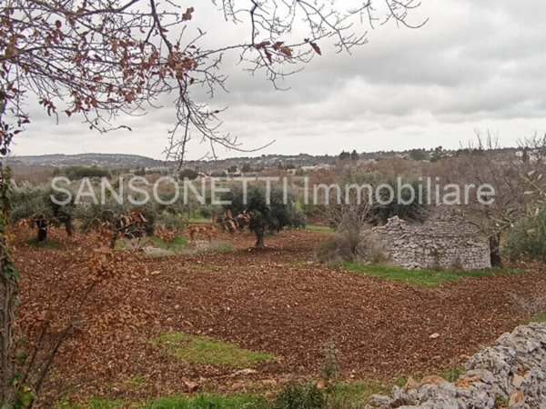 terreno agricolo in vendita a Locorotondo
