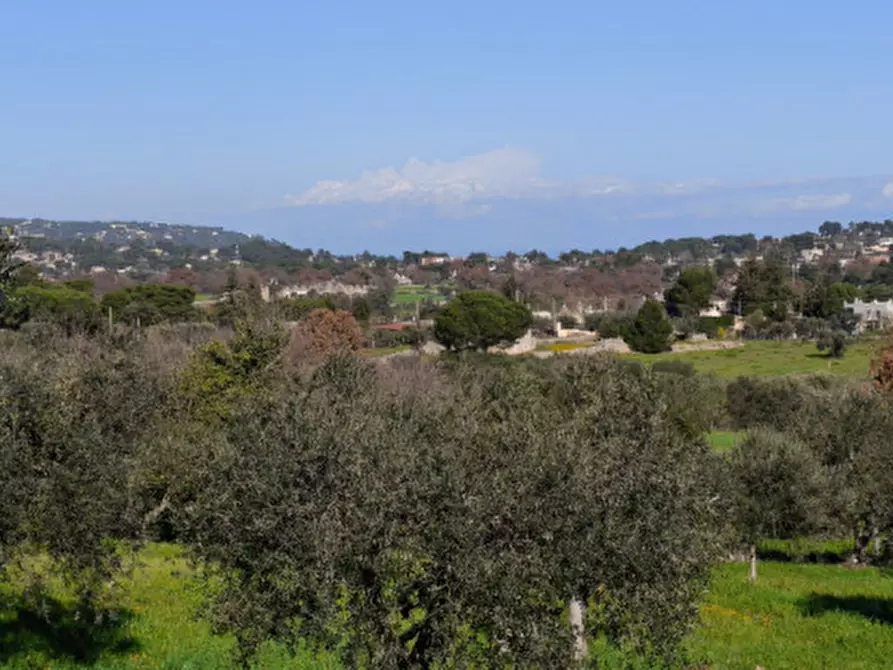 casa indipendente in vendita a Locorotondo