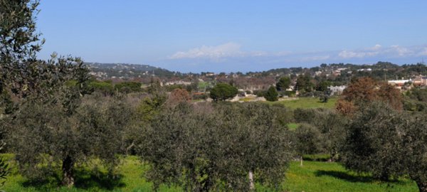 casa indipendente in vendita a Locorotondo