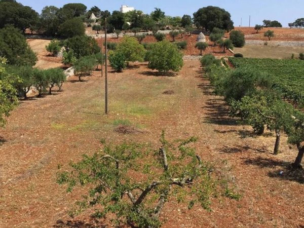 casa indipendente in vendita a Locorotondo