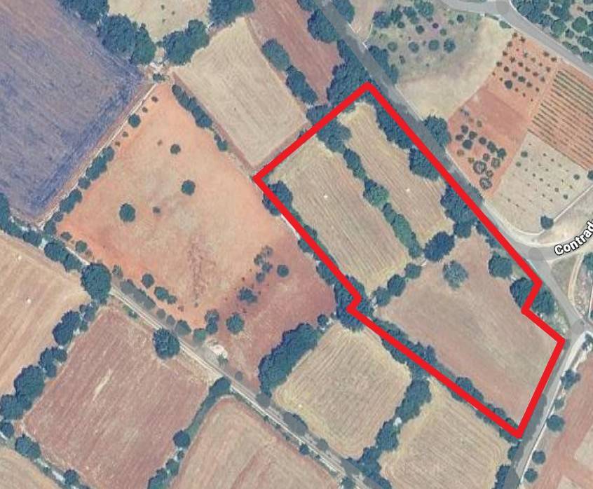 terreno agricolo in vendita a Locorotondo