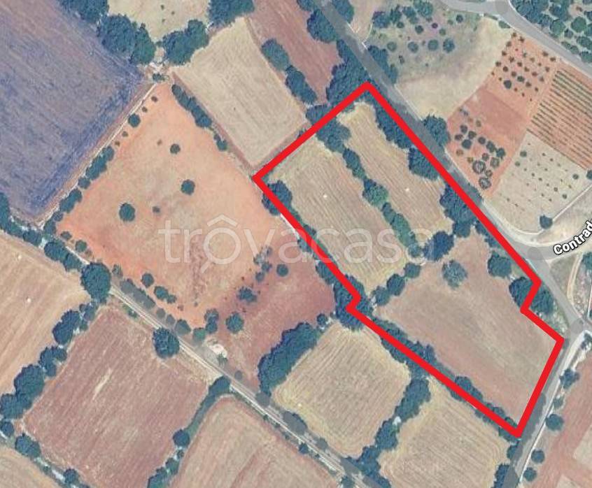 terreno edificabile in vendita a Locorotondo