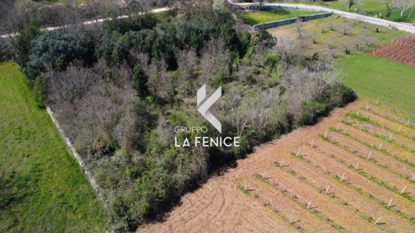 casa indipendente in vendita a Locorotondo