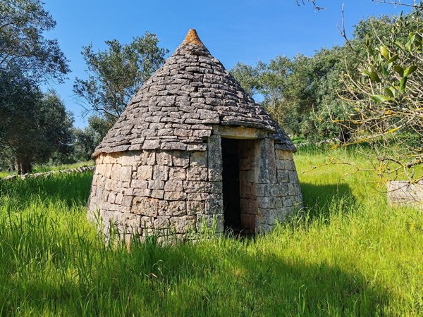 terreno agricolo in vendita a Locorotondo