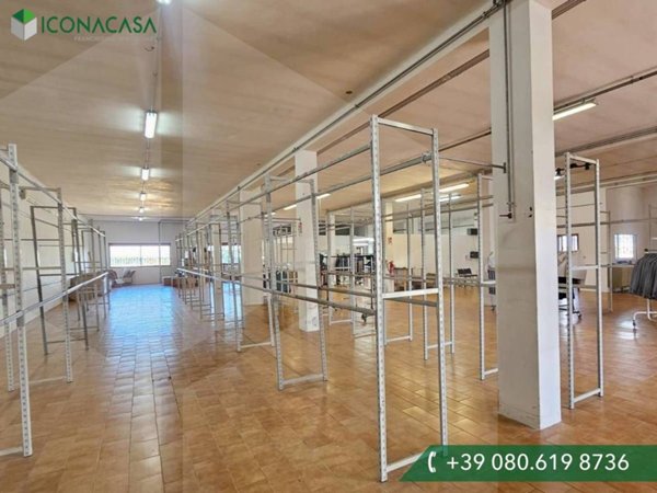 casa indipendente in vendita a Locorotondo