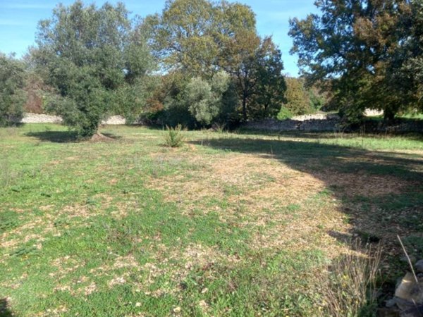 casa indipendente in vendita a Locorotondo