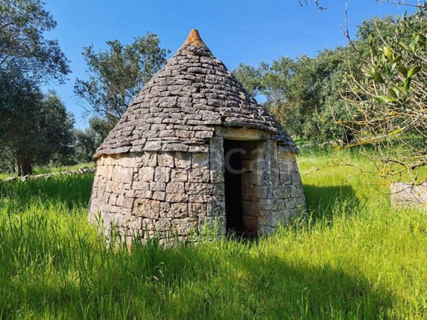 casa indipendente in vendita a Locorotondo