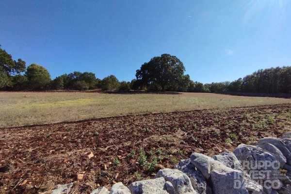terreno agricolo in vendita a Locorotondo in zona Trito