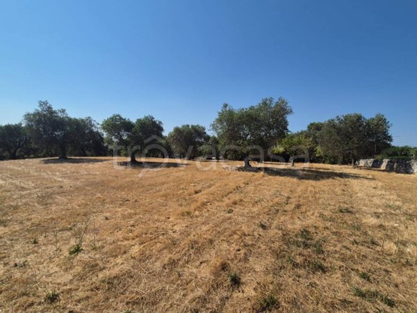terreno edificabile in vendita a Locorotondo