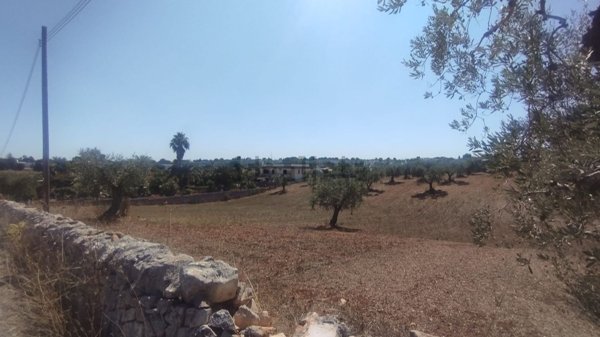 terreno edificabile in vendita a Locorotondo
