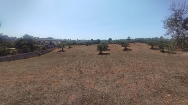 terreno edificabile in vendita a Locorotondo