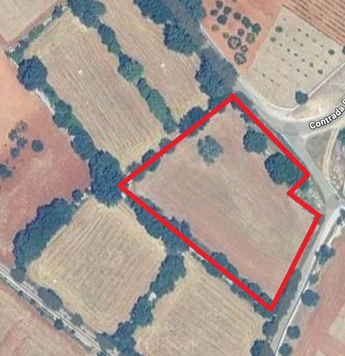 terreno agricolo in vendita a Locorotondo in zona San Marco