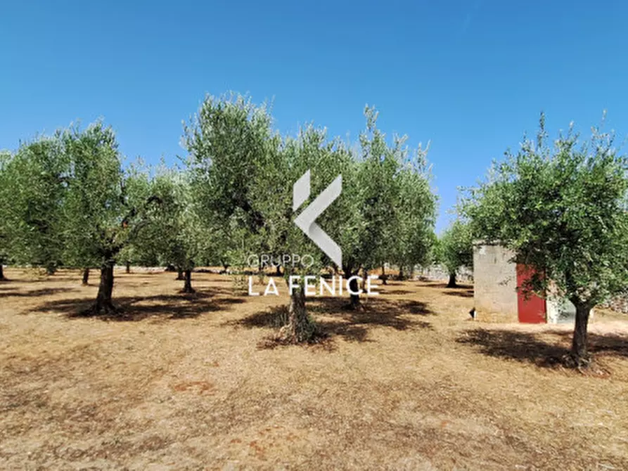 terreno agricolo in vendita a Locorotondo in zona San Marco