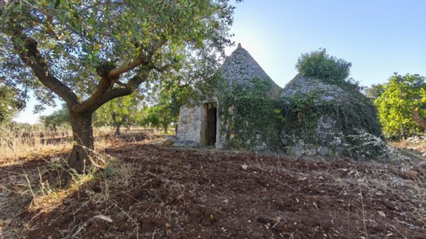 trullo in vendita a Locorotondo in zona San Marco