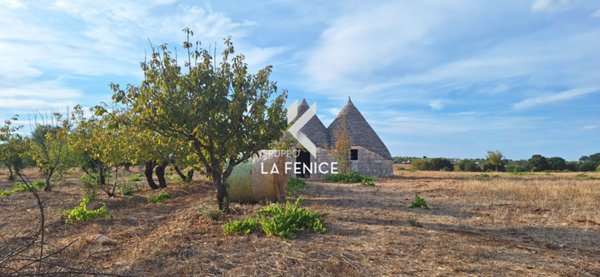 trullo in vendita a Locorotondo