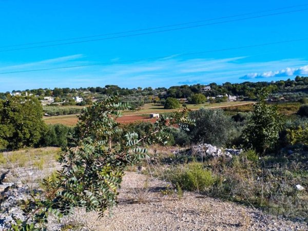 terreno agricolo in vendita a Locorotondo in zona San Marco