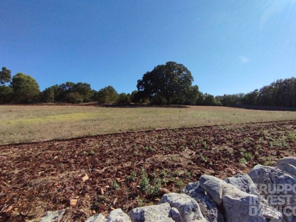 terreno agricolo in vendita a Locorotondo in zona San Marco