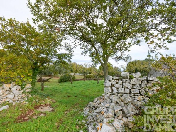 terreno agricolo in vendita a Locorotondo