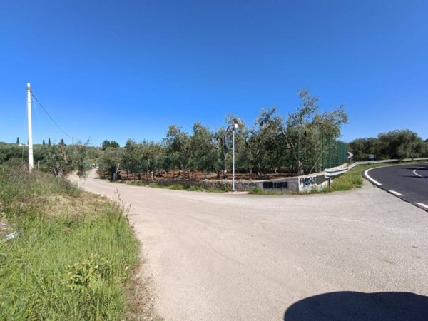 terreno agricolo in vendita a Modugno
