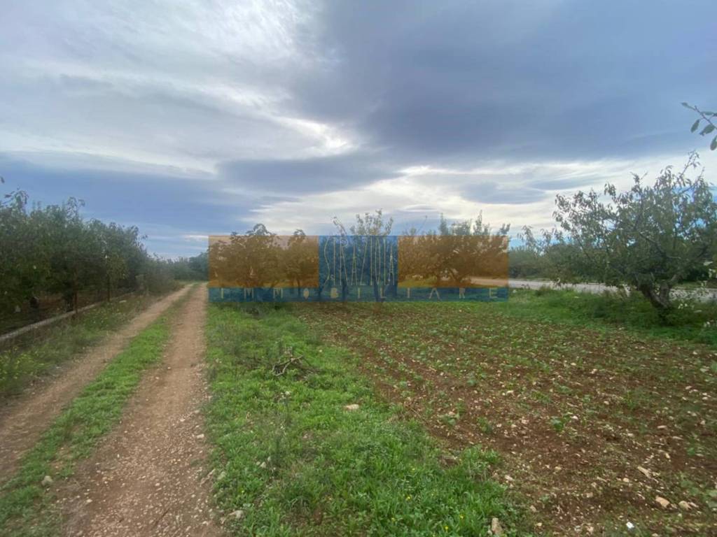 terreno agricolo in vendita a Modugno
