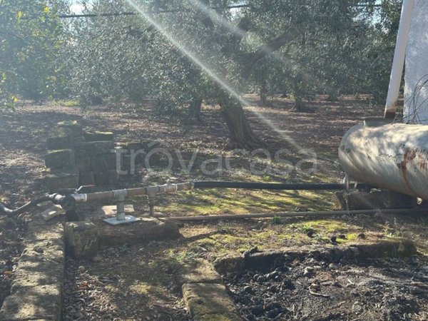 terreno agricolo in vendita a Modugno