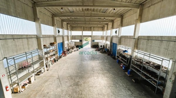 terreno agricolo in vendita a Modugno