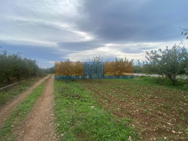 appartamento in vendita a Modugno