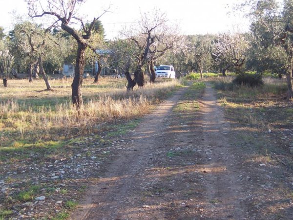 terreno agricolo in vendita a Modugno