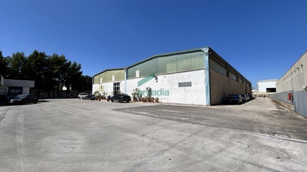 terreno agricolo in vendita a Modugno