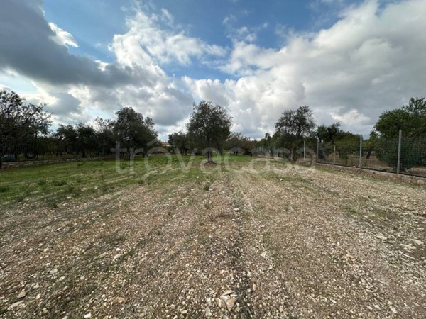 terreno agricolo in vendita a Modugno