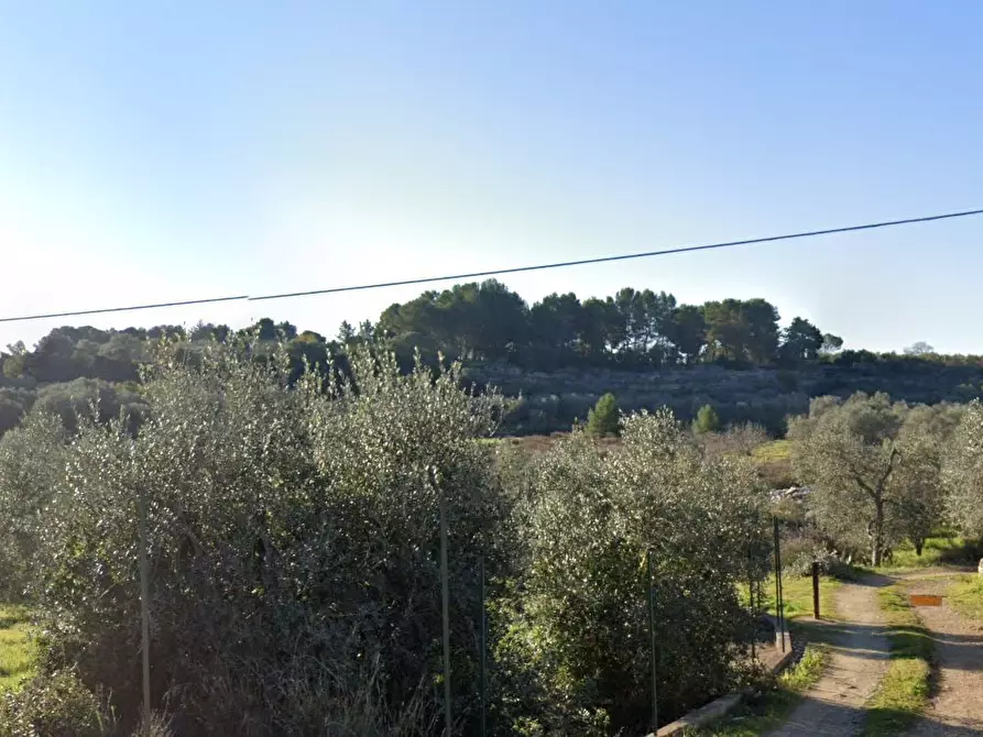 terreno agricolo in vendita a Modugno