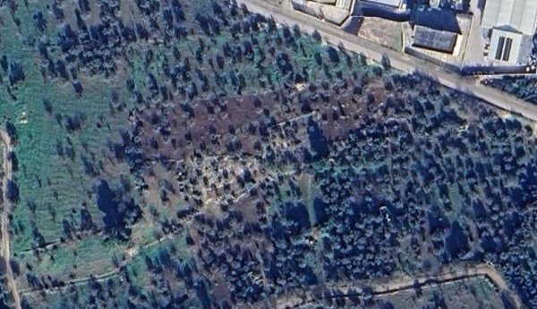 terreno agricolo in vendita a Modugno