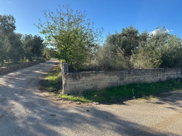 terreno agricolo in vendita a Modugno