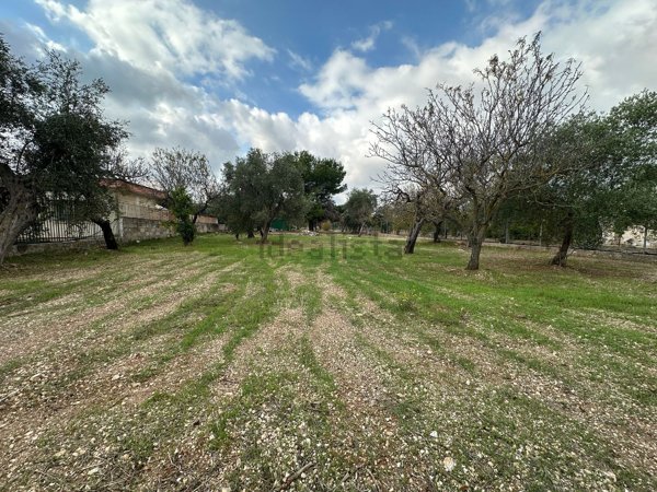 terreno agricolo in vendita a Modugno