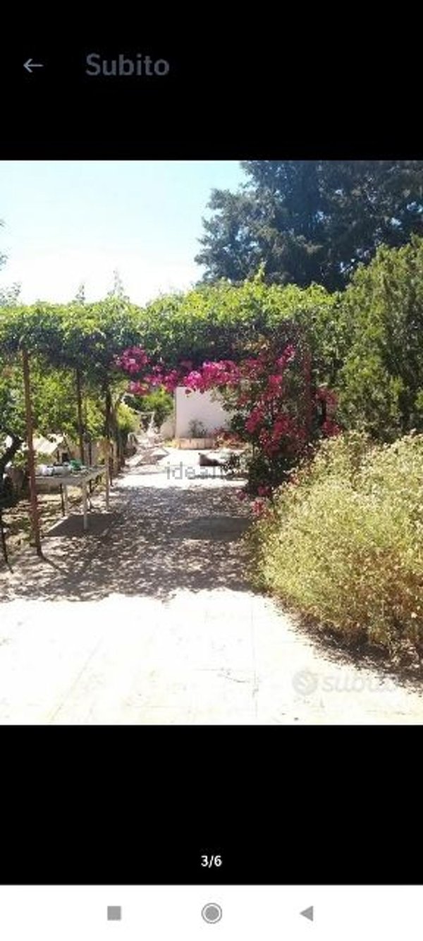 esavano in vendita a Modugno